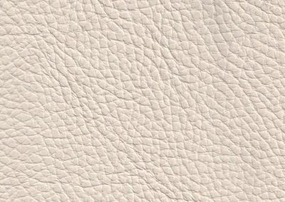Taiga ITTG 2002 Ivory