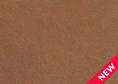 Trend Cognac TD 525E