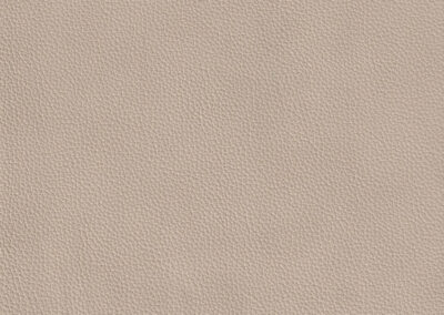 Aurora Limestone