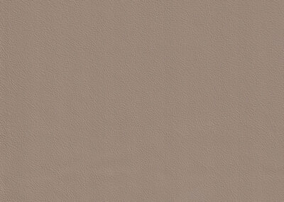 Grace Sandstone
